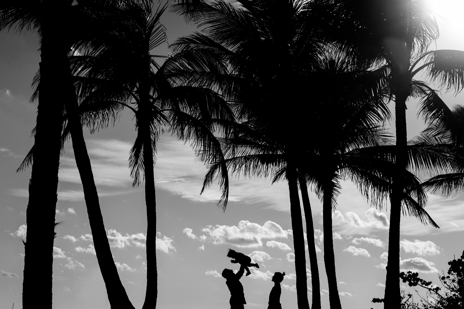 Family of three between Florida palm trees
